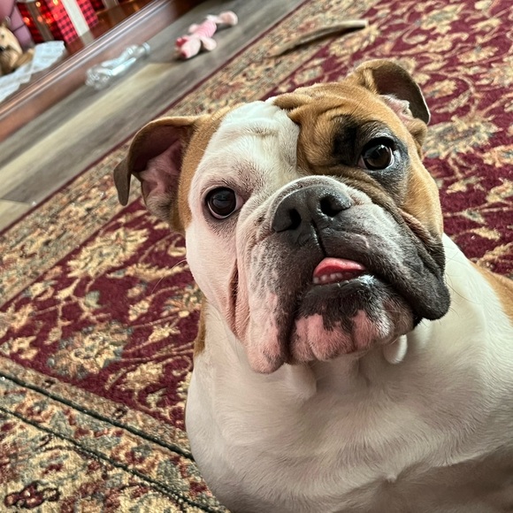 Meet your Posher, Jodi - Picture 2 of 3